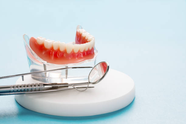 Best Commercial Dentistry  in Anton, TX